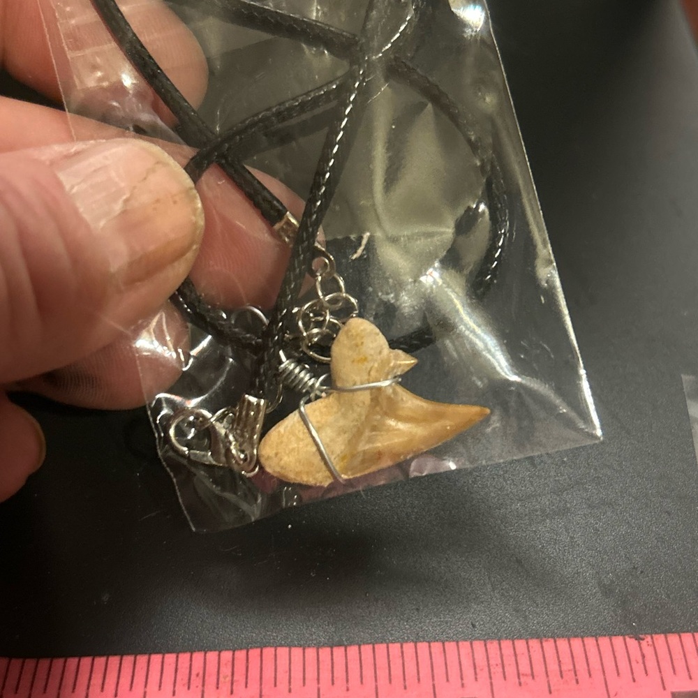 Black Cord Necklace with Tan Shark Tooth Pendant